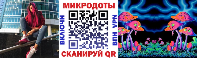 Купить закладки  Городовиковск  Галлюциногенные грибы мицелий 