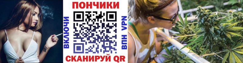 Шишки марихуана сатива  Купить где  Городовиковск 